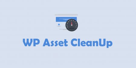 WP Asset CleanUp