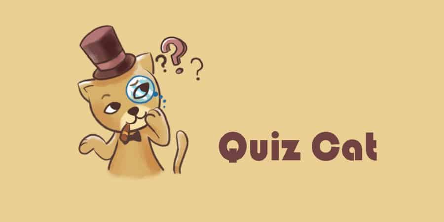 The Quiz Cat