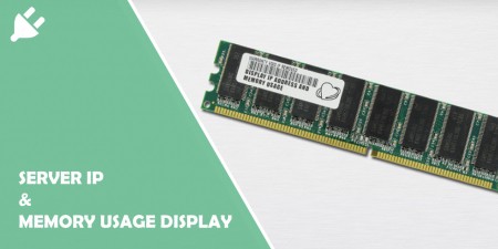 Server IP & Memory Usage Display