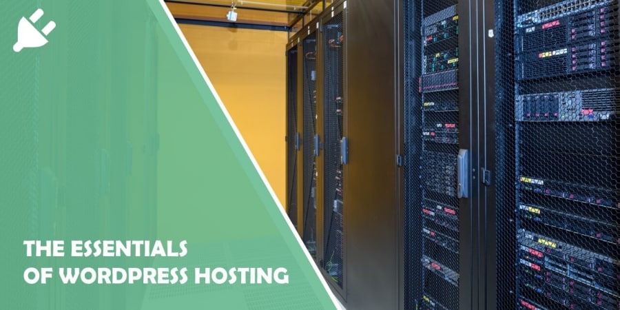 The Essentials of Wordpress Hosting and How It Affects Your Business