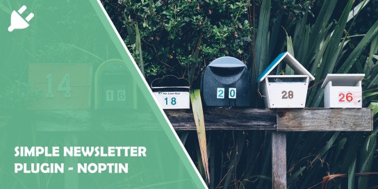 Simple Newsletter Plugin – Noptin