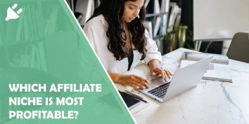 which affiliate niche is most profitable?